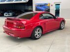 Thumbnail Photo 6 for 1999 Ford Mustang Cobra Coupe